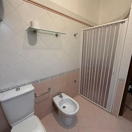 Palma
